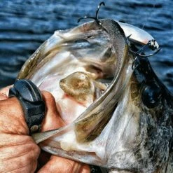 Tools + Knives Line Cutterz Line Cutting Ring