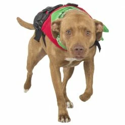 NRS CFD Dog Life Jacket